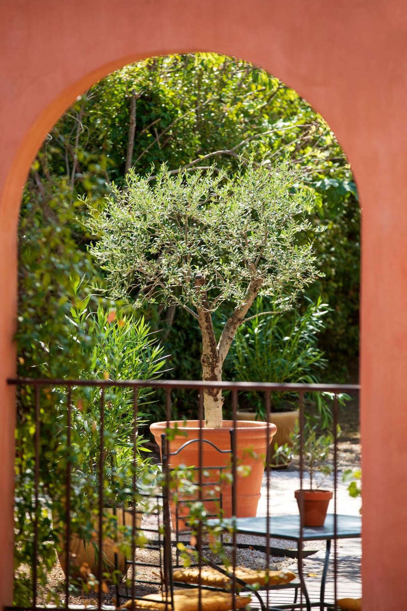 Le Pigonnet - Esprit De France Hotel Aix-en-Provence Bagian luar foto